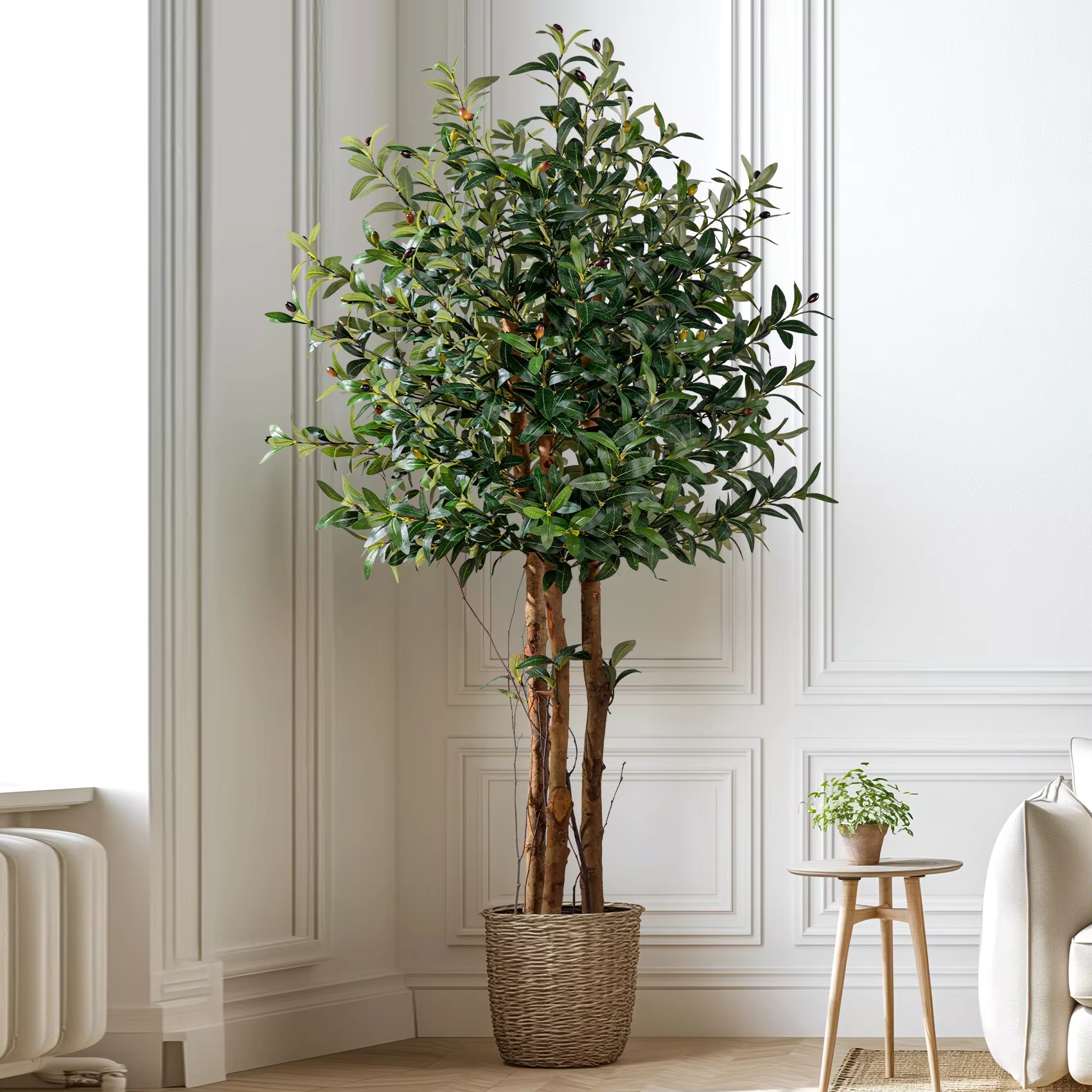 Olive Trees(real trunk)